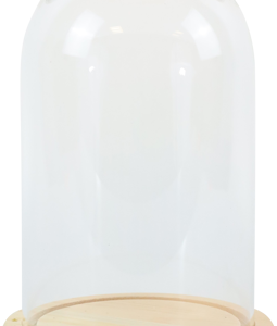 5542 CLOCHE EN VERRE BROADWAY